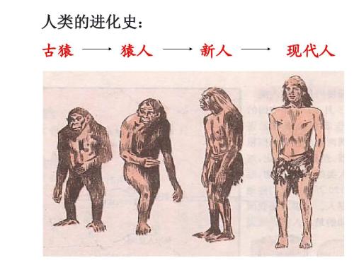物种起源学说谁提出的,物种起源是进化论产生的结果吗
