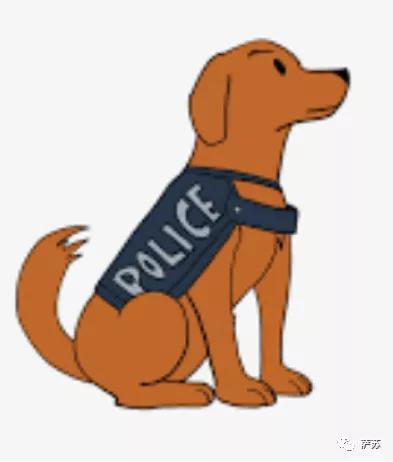 毒犯过安检被抓,警方揭秘毒贩那些精明的藏毒手段