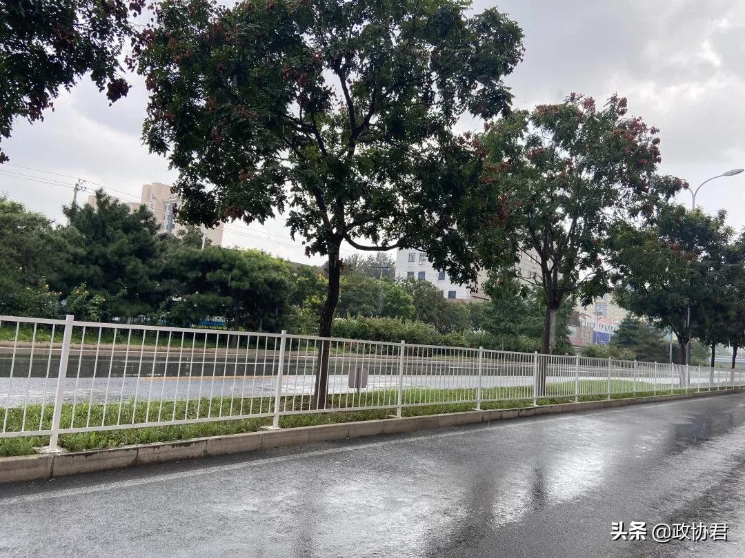什么道路中间不能设隔离护栏,哪些路可以安装中间隔离护栏