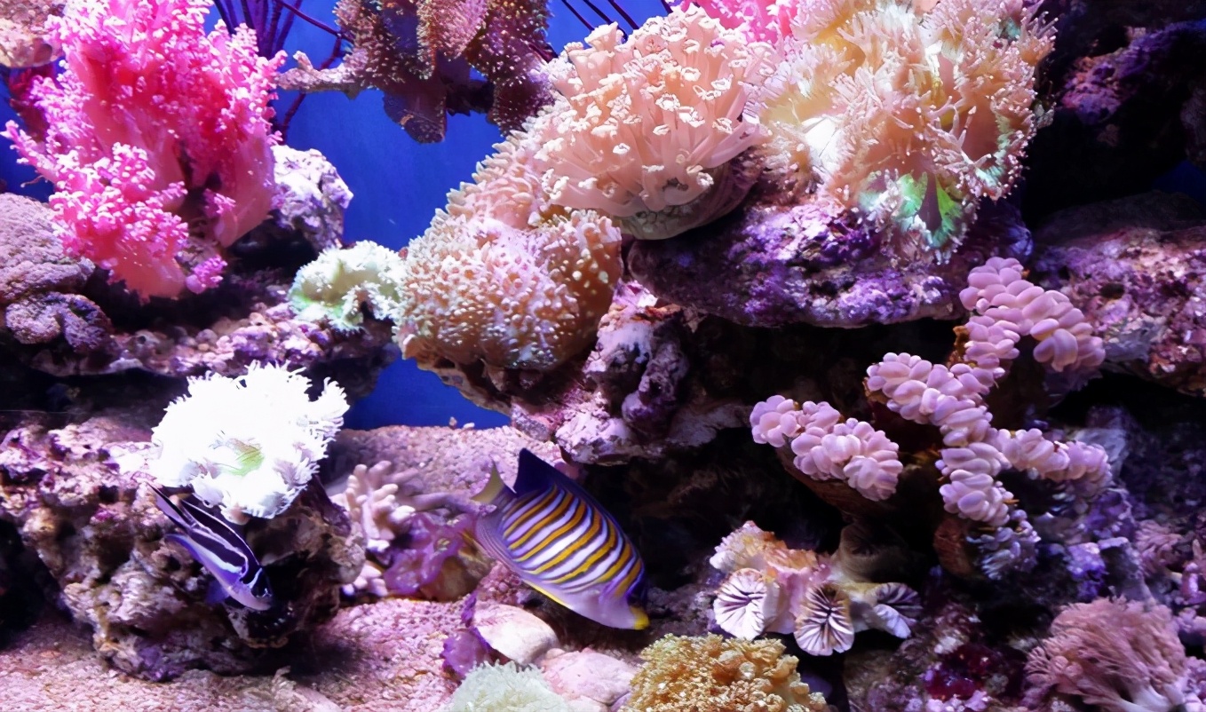 太原海洋大世界赶海公园,太原海洋公园游玩攻略