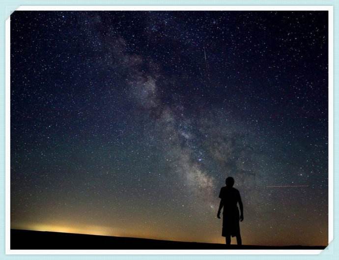 铁树银花什么生肖,铁树银花电影