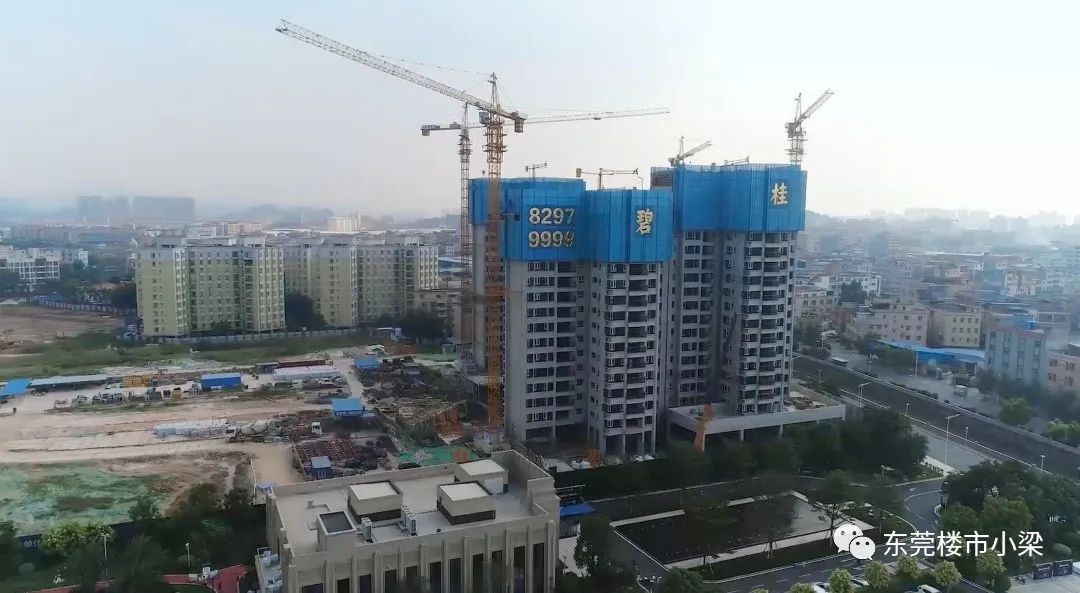 疫情后楼盘首开,东莞碧桂园玫瑰臻园排名