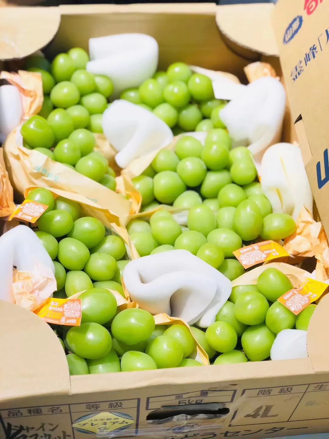 CBD里的Chloe、AmandaandKatharine，都在㳽到脑壳买农副产品