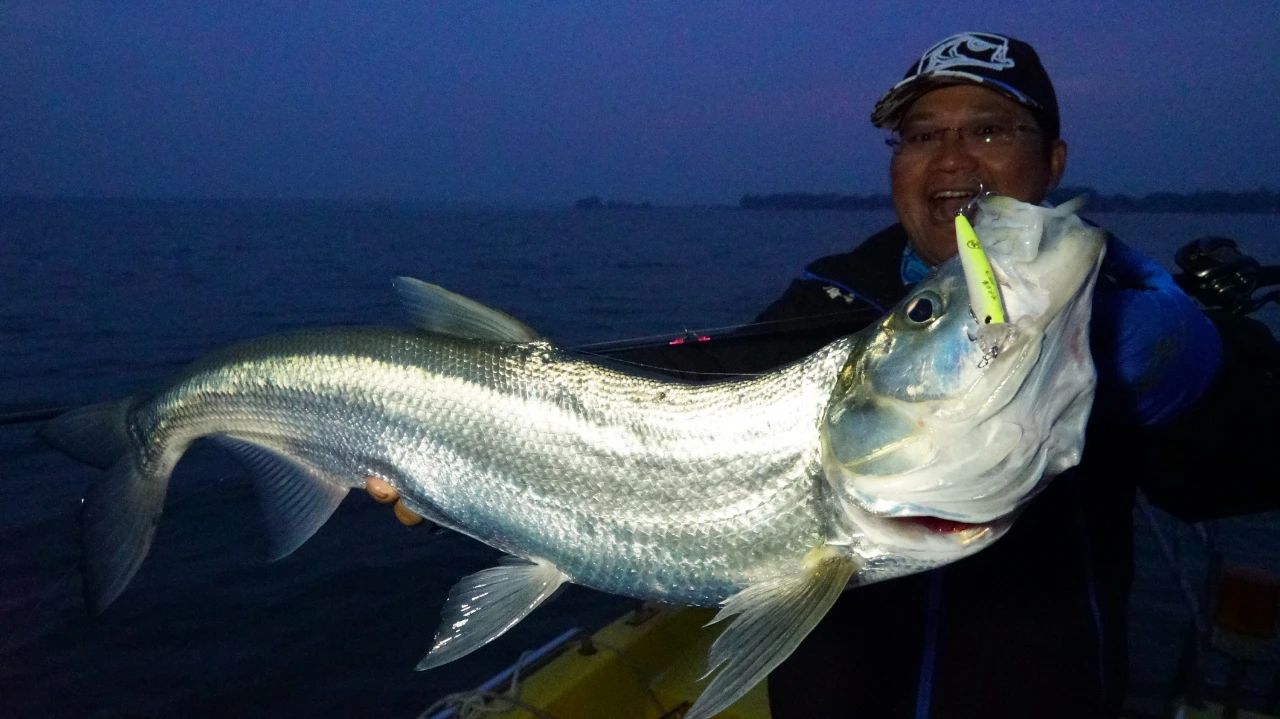 蓝旗鱼路亚翘嘴,蓝旗鱼路亚翘嘴水面系手法