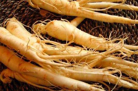 #清风计划#探寻人参千年密码，人参原来有这么多你不知道的事儿