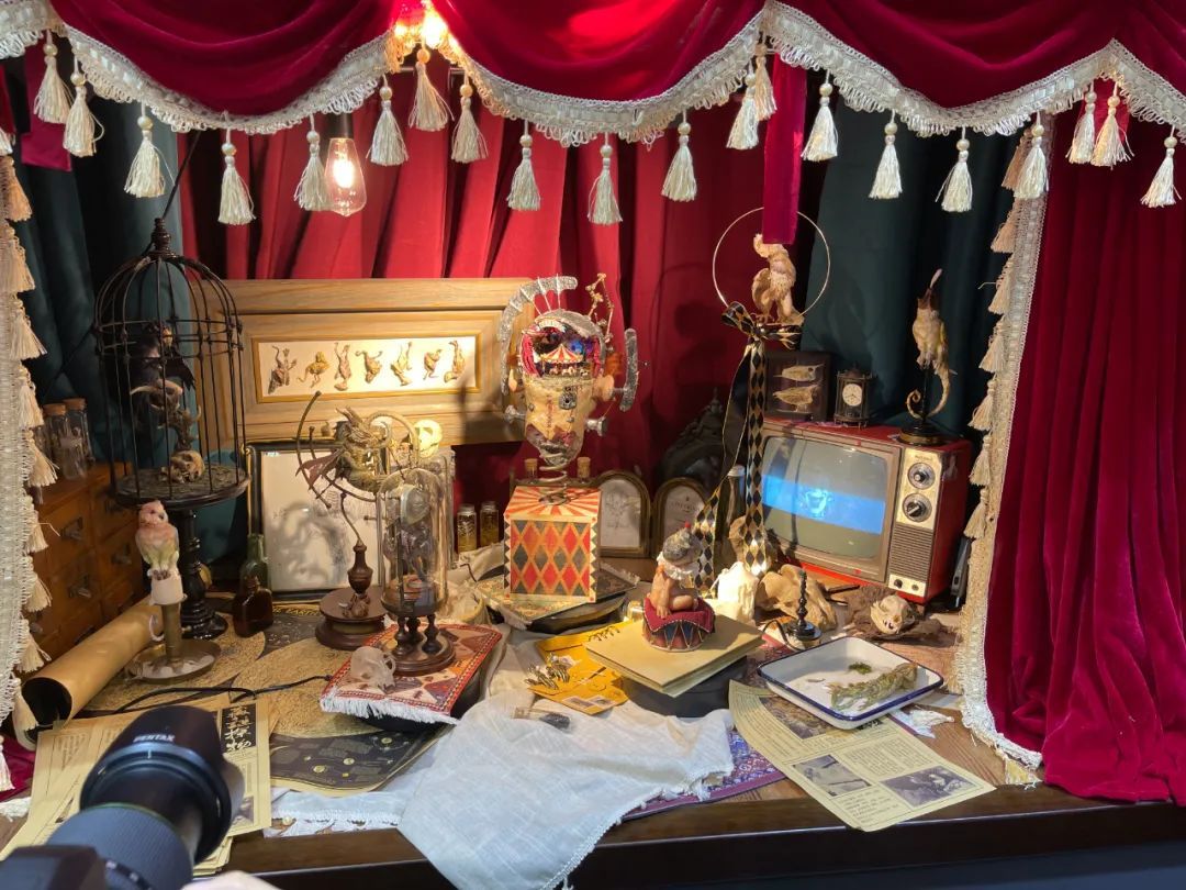 wf展回顾,下届wf展