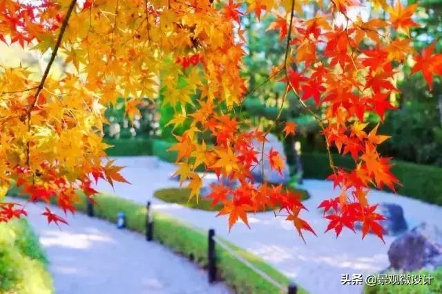 日本最有名枯山水庭院,日本枯山水效果图