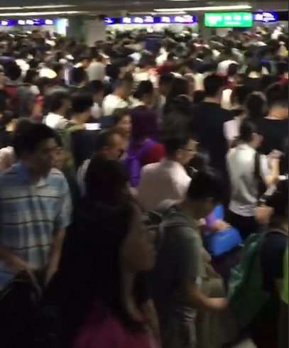 移民香港的感受,刚移民香港做什么工作