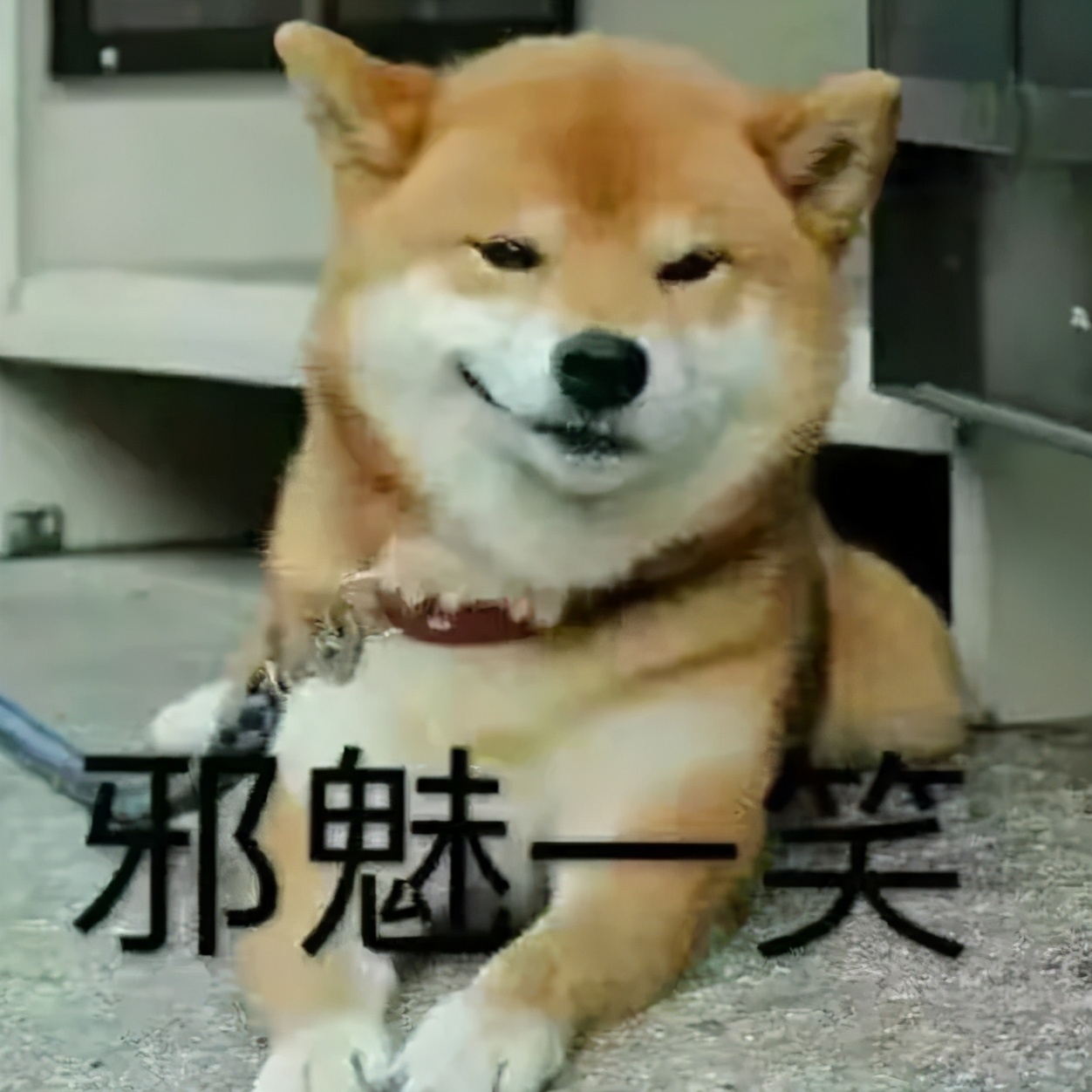 四店同步开放啦！即刻免费体验“量脚制鞋”黑科技