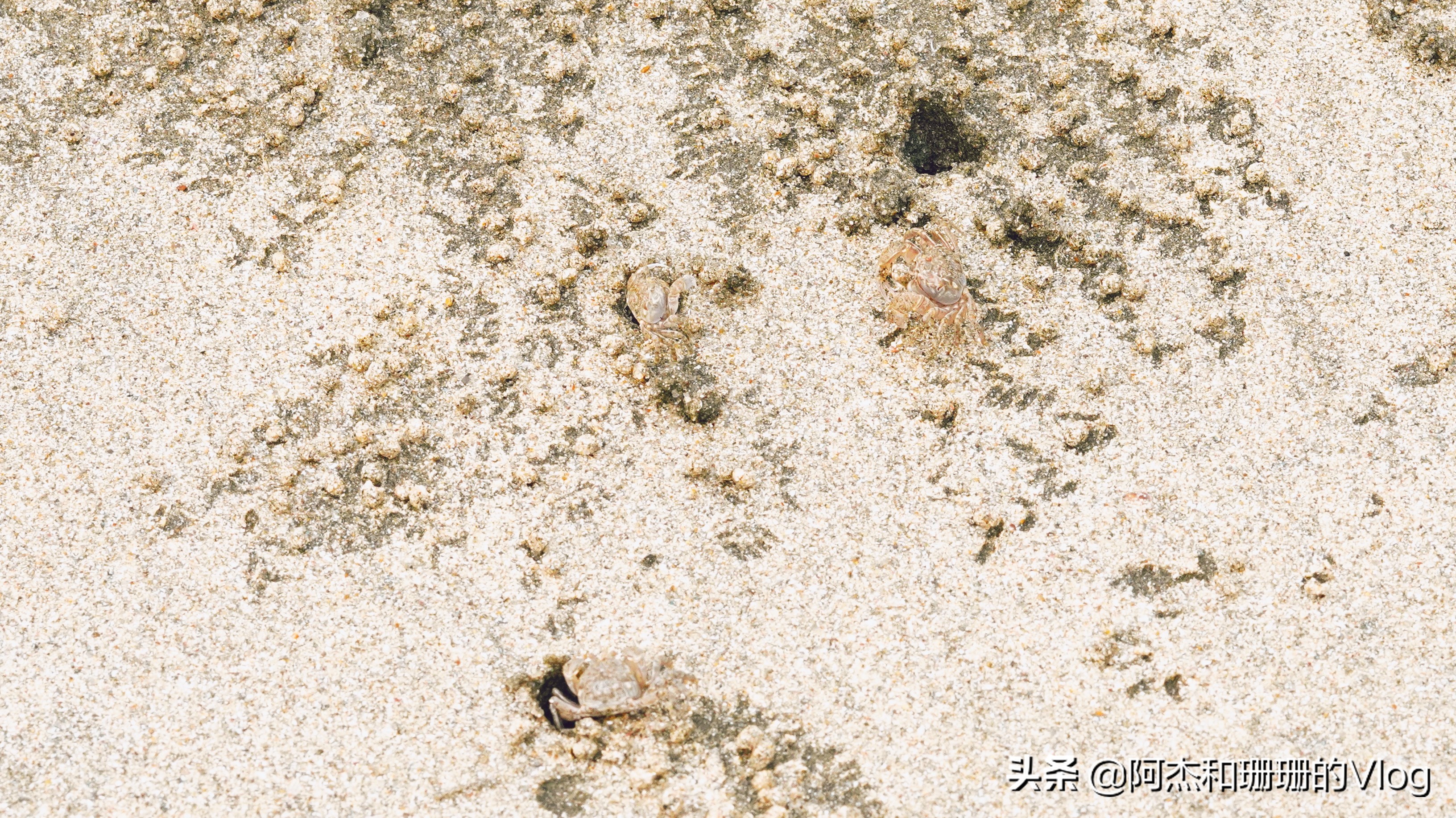 台山下川岛三日游旅游攻略自驾游,台山上下川岛旅游最新攻略