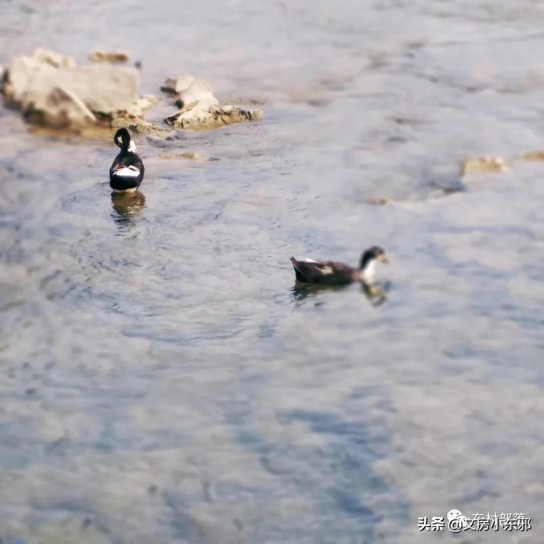 广西河池照片,广西河池图片大全
