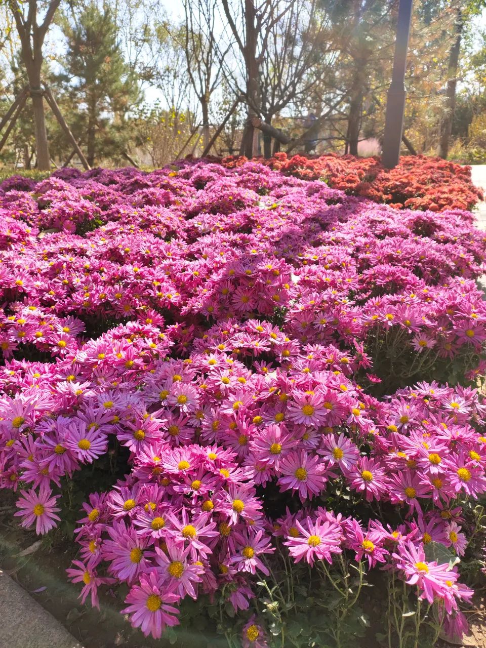 天坛公园周边,天坛旁边的公园