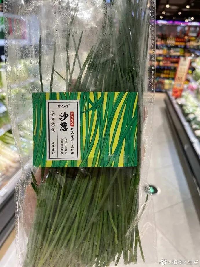 野生沙葱味道怎么样,沙葱为啥有苦味