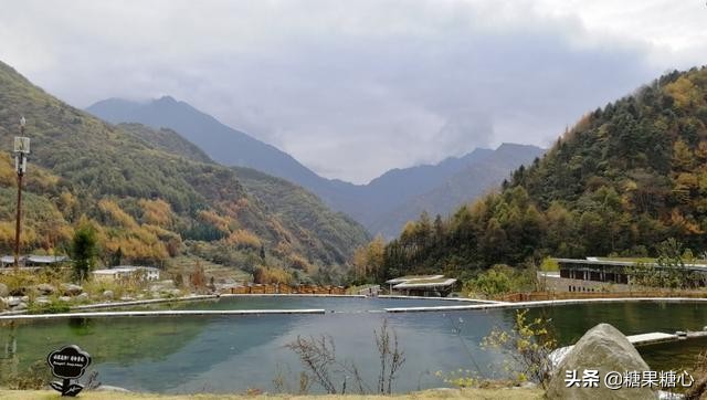 你们想要去四川看熊猫吗,来成都看熊猫一定要来熊猫谷