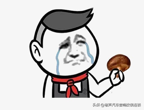 丰田雷凌升级德国彩虹音响试听,丰田雷凌2021豪华版升级音响