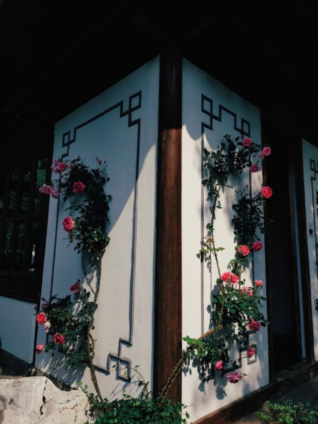 西湖风景区之郭庄,西湖郭庄景区