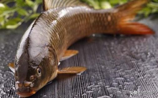 郑州豫菜做得好的饭店,郑州高档豫菜