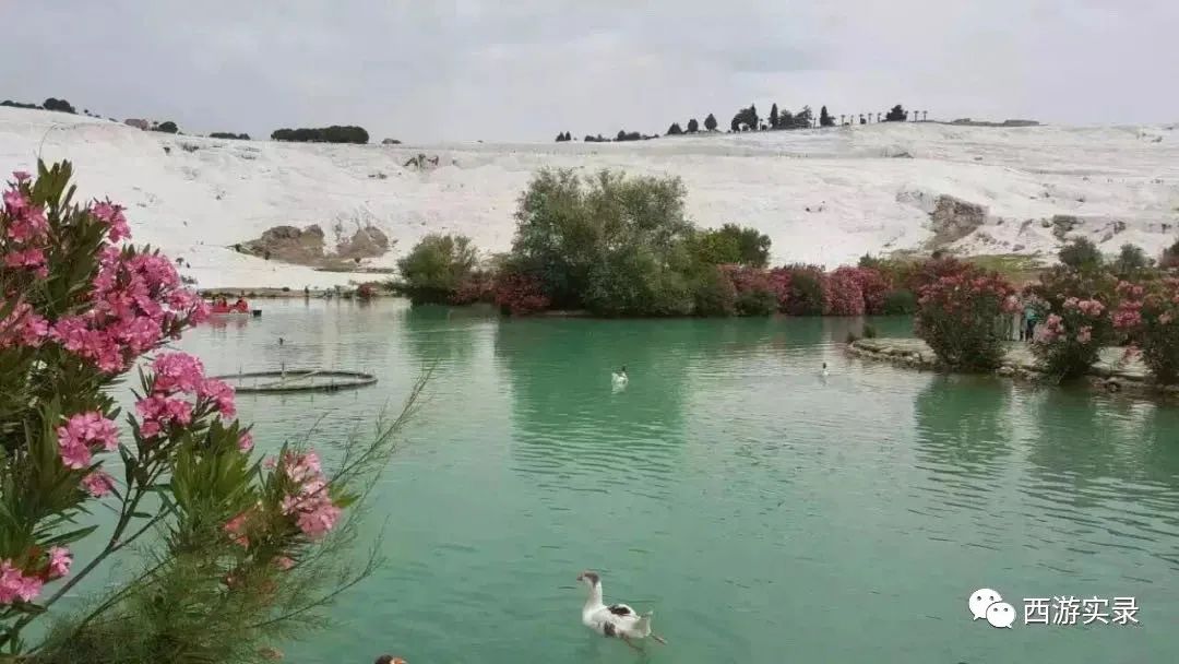 她和我从上海开车进中东后,爱上伊朗人就逃跑,还为他失恋和自杀