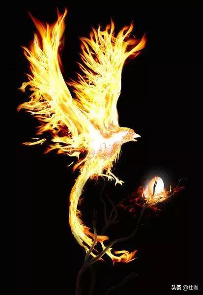 投资就是最好的创业,投资创业的基本知识