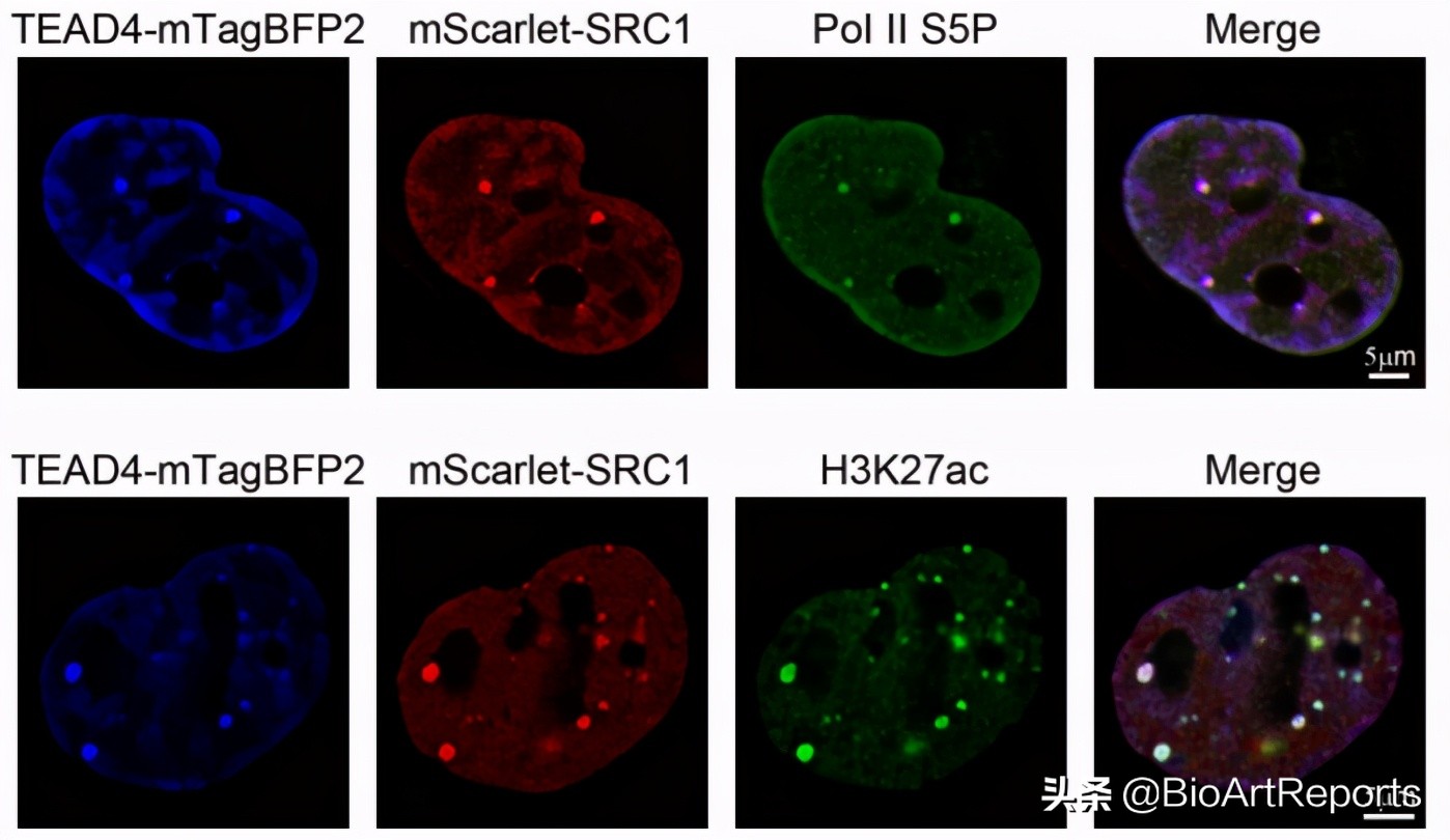 新型抗艾滋病药物及其作用机制,抗艾滋新药