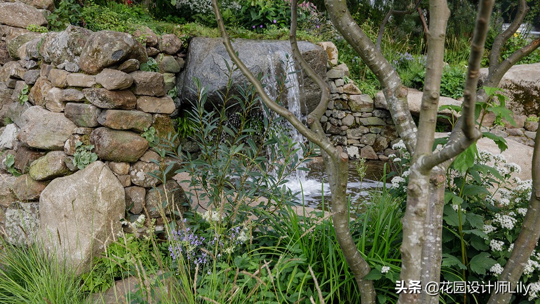 2023年切尔西花展各个花园的介绍,切尔西花展最佳花园