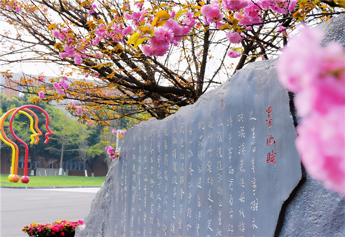 参观成都七中高新校区,成都七中实验学校温江校区