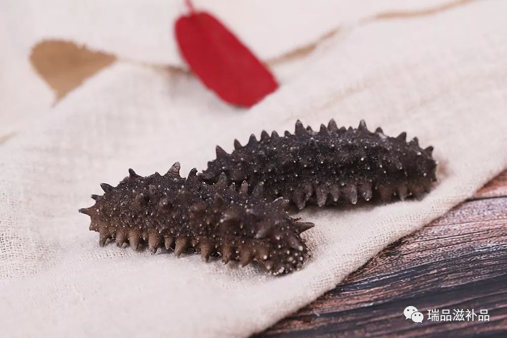 海参市场详情 (海参市场信息)