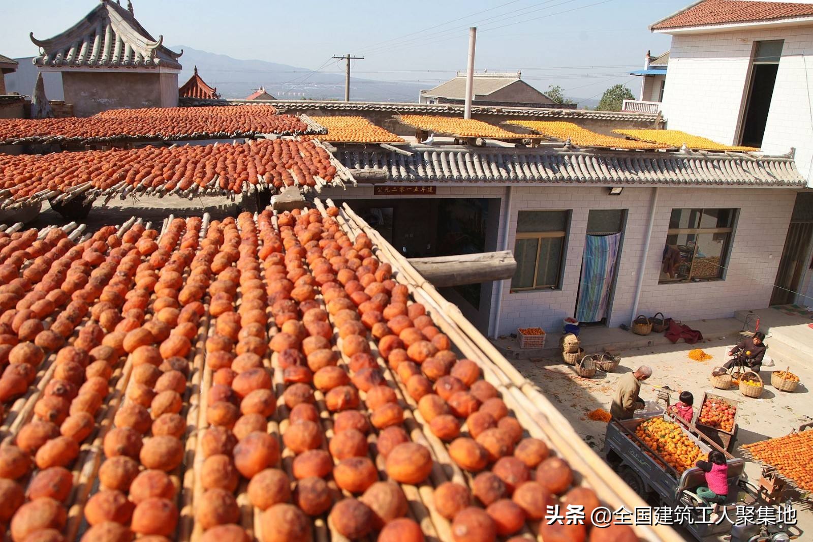 工地新型农民工招聘,工地未来农民工的出路在哪