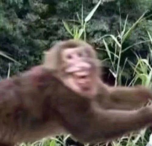 逗人开心的幽默笑话段子短句,逗人开心的笑话搞笑段子大全