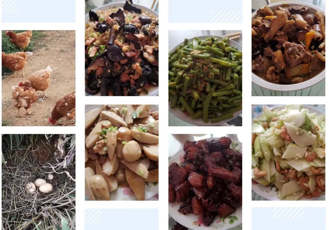 济南申请加入“大乱斗”!@理塘丁真,你的珍珠……泉在这里!