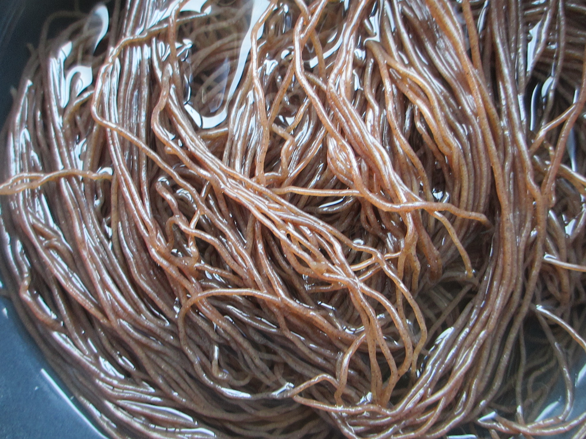 正宗朝鲜冷面面条,冷面汤汁配方日卖500