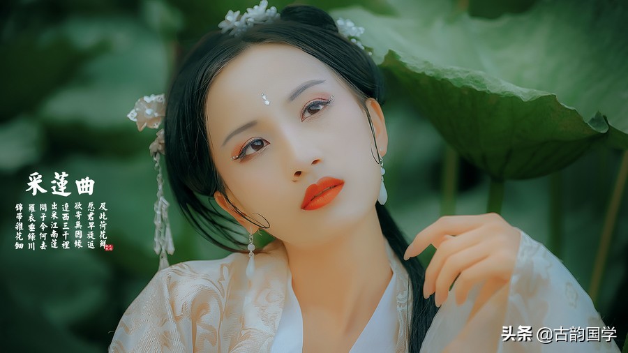 荷花诗经典100首,荷花诗词330首下篇