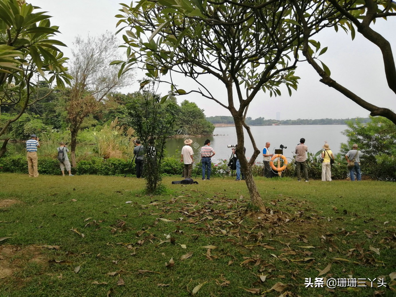 广州湿地公园推荐,广州龙潭河湿地公园