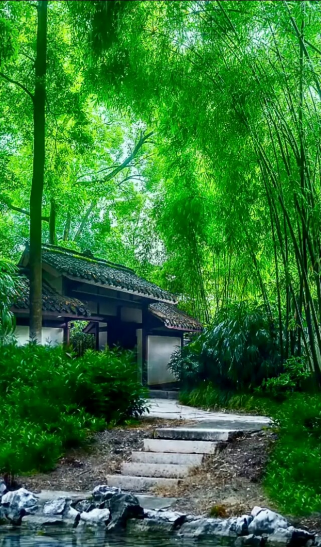 难忘过去，常忆往事：“我与表姑的故事”