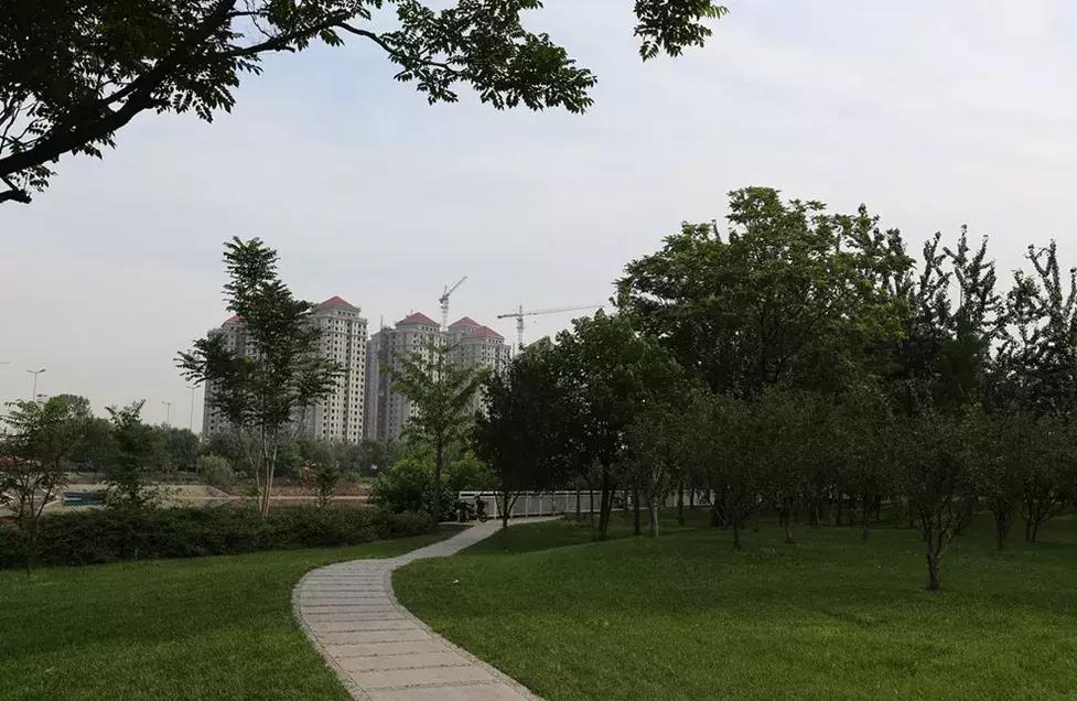 寸土寸金公园,天津值得一去的公园