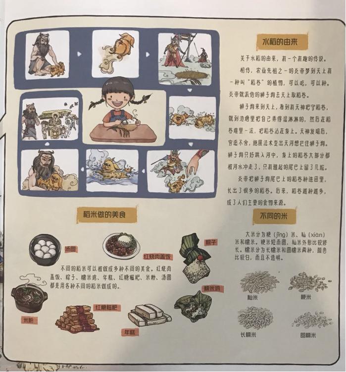 怎样认识语文教科书的地位和作用,如何正确解读部编语文教材