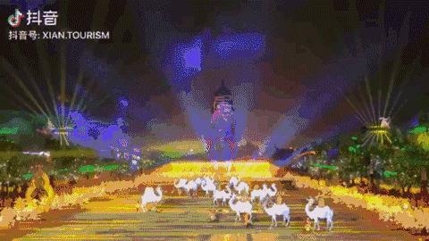 陕西历史博物馆唯美视频,陕西历史博物馆视频高级感