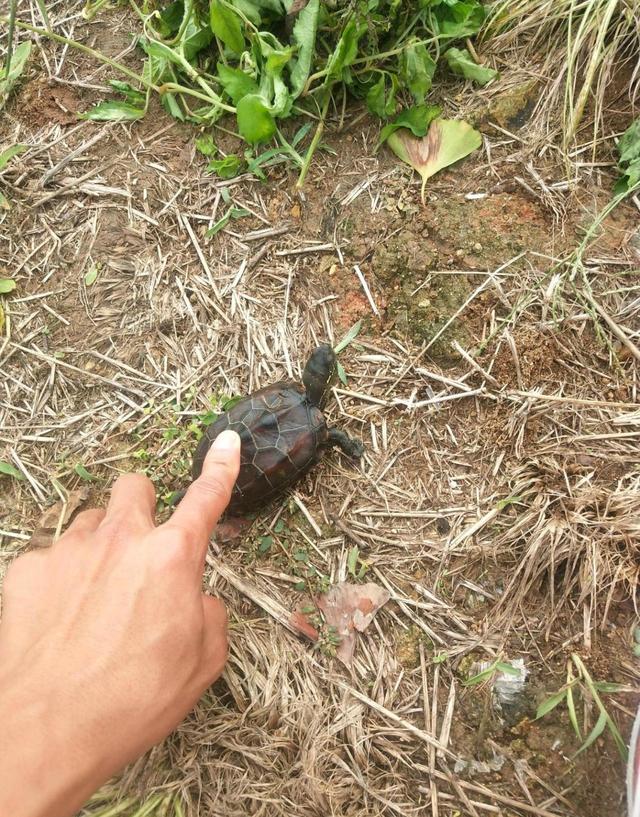 台州钓鱼扔垃圾,浙江台州市钓鱼