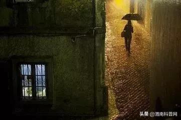 贾平凹:我曾深恋过一个姑娘