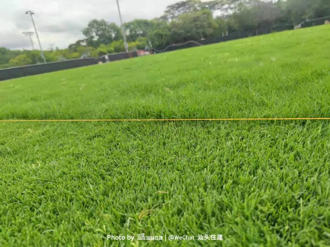 汕头亚青会场馆建设,汕头亚青会体育馆和汕头体育中心