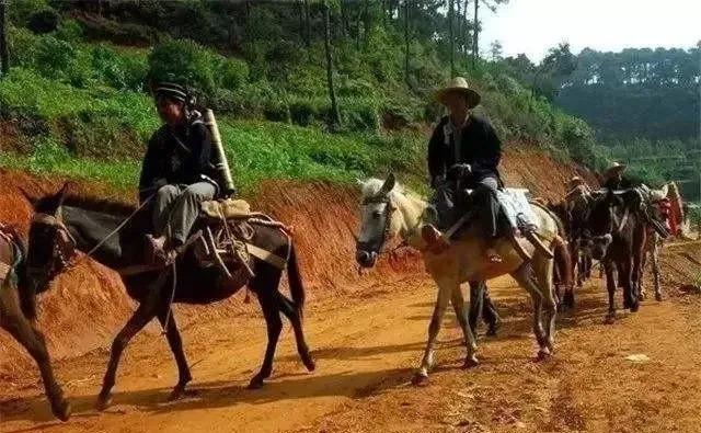 重走茶马古道感受马帮岁月,茶马古道之马帮篇