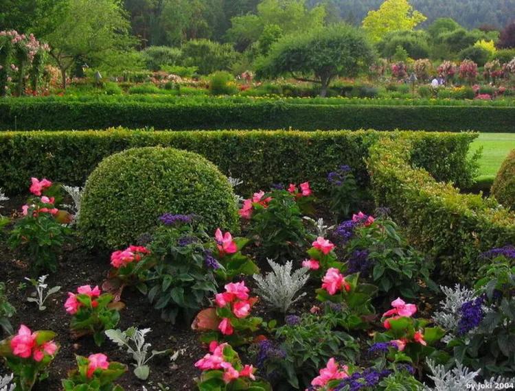 美景欣赏完整版,美景欣赏花朵