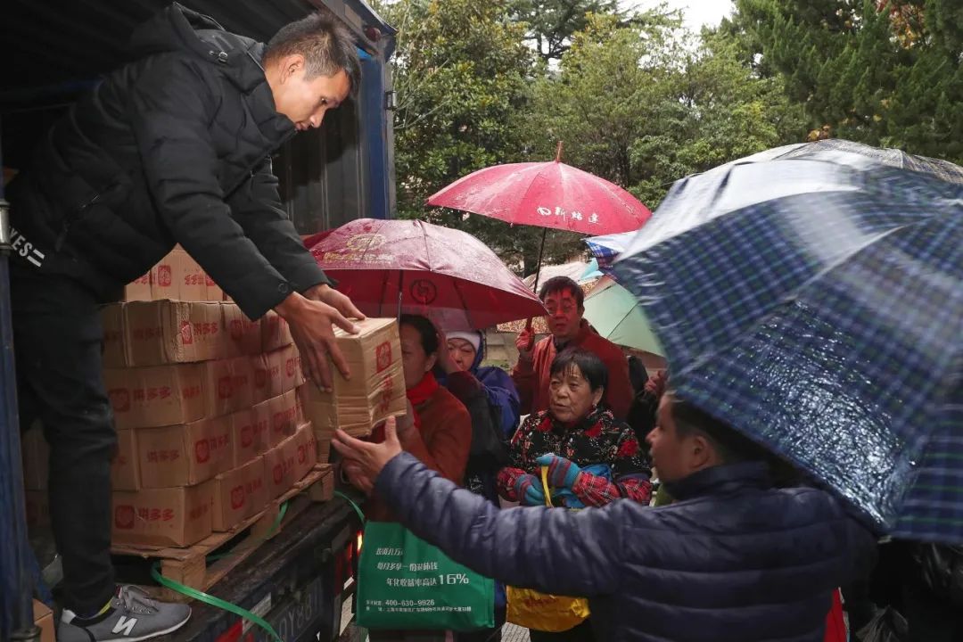 名媛拼单现实案例 (拼单名媛现状)