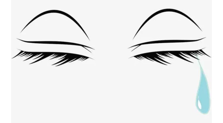 柳絮弄得眼睛痒怎么办,柳絮弄的眼睛痒怎么办