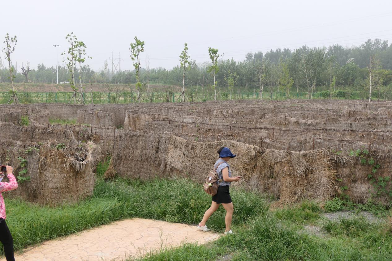 自己在家开个小农庄要多少钱,打造一个三十亩地小农庄多少钱