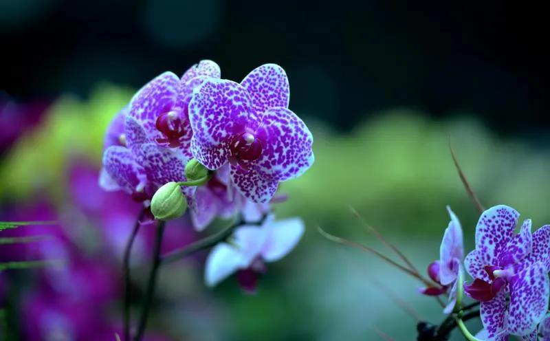 男人50多岁了老婆出轨该怎么办,50多岁发现老公有外遇了怎么办