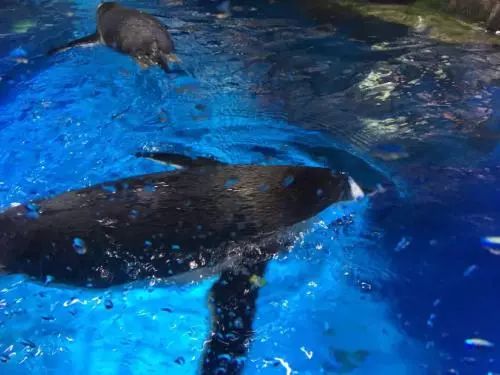 想100次也不如行动一次,每次去香港最大的感受