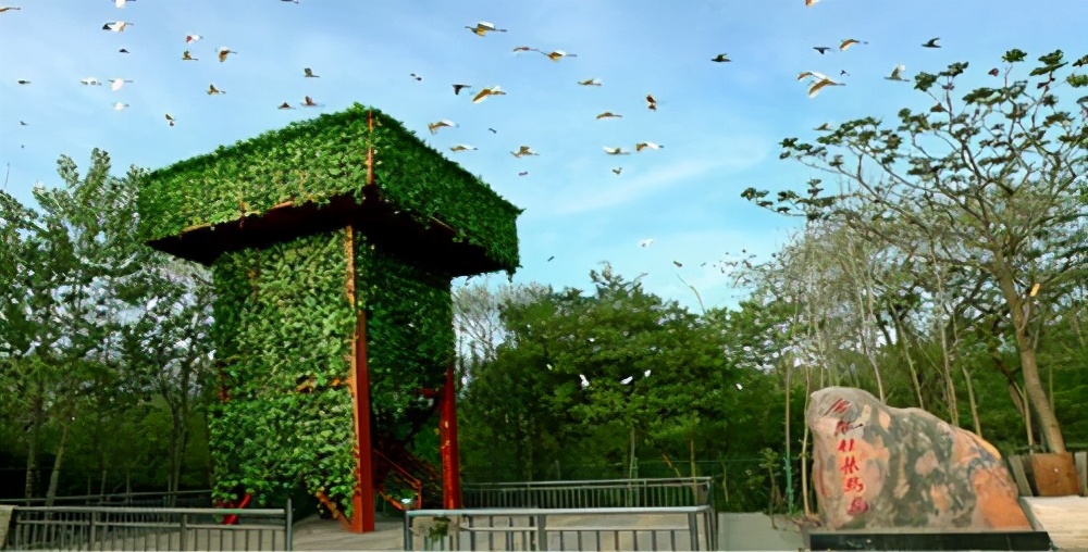 合肥旅游攻略带孩子三日游,合肥旅游攻略二日游住宿