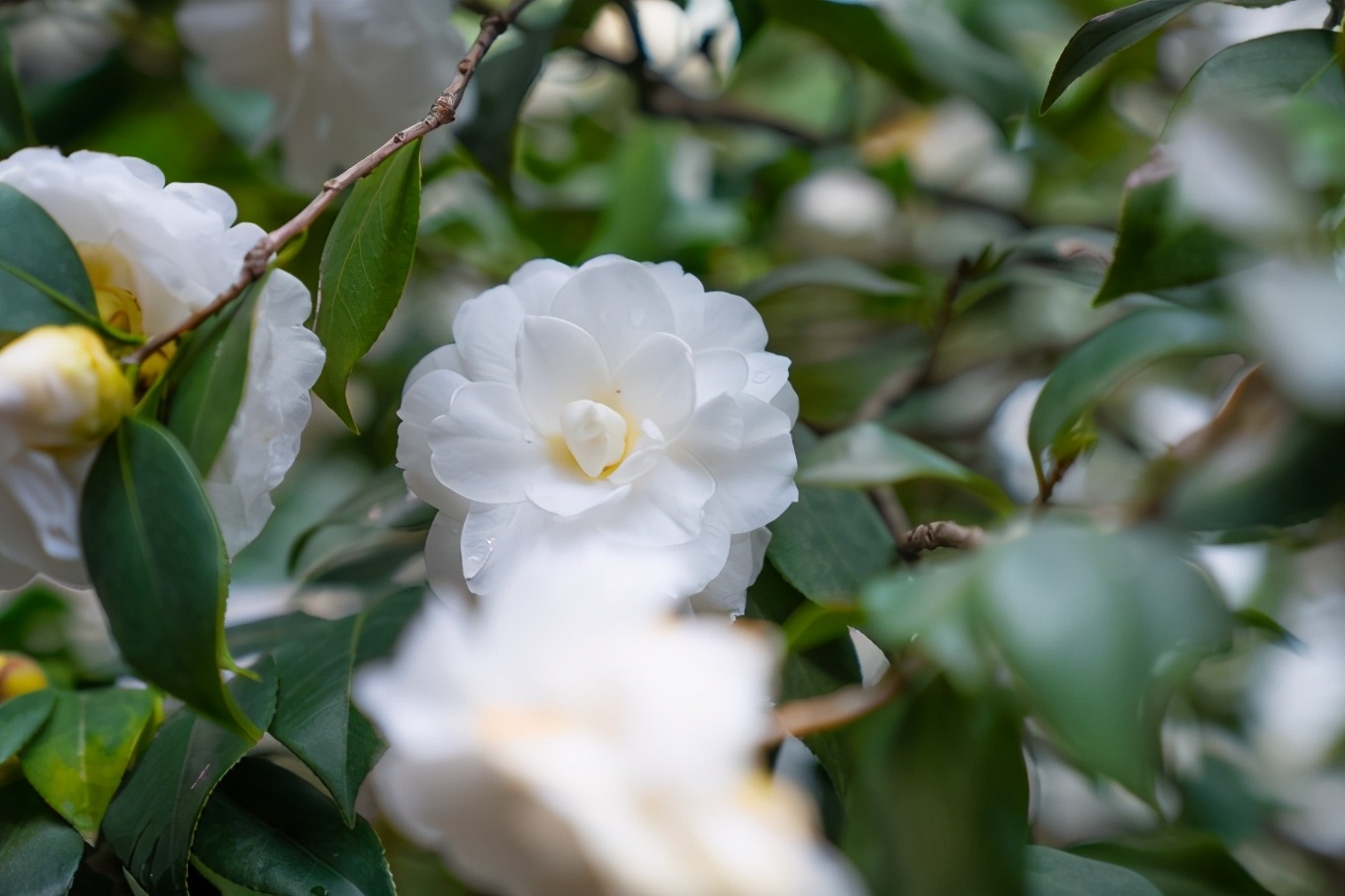 福州古城一日游攻略,福州最全旅游攻略一日游