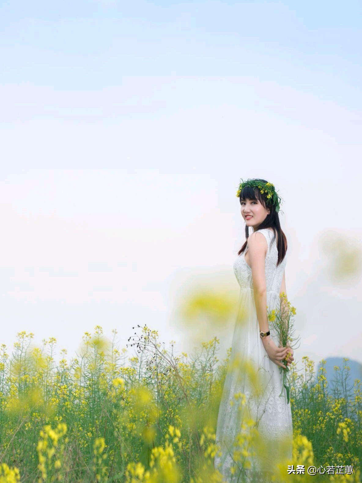 油菜花一片片的像什么,梯田油菜花和平原油菜花